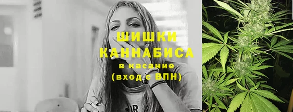 индика Баксан