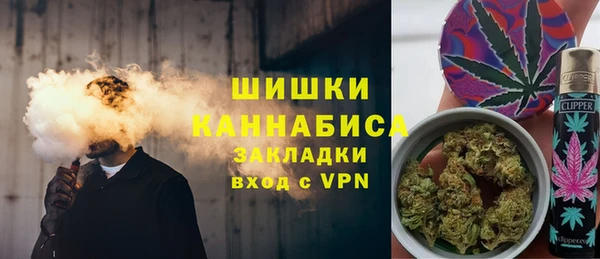 индика Баксан