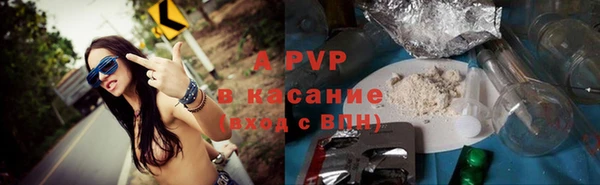 индика Баксан