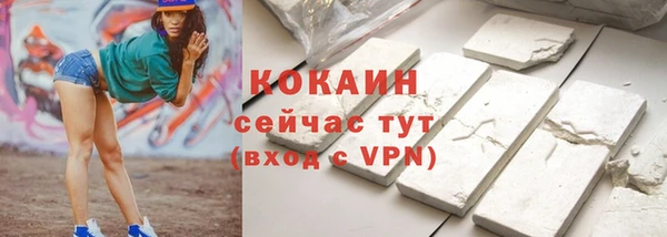 шишки Балахна
