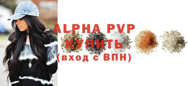 индика Баксан