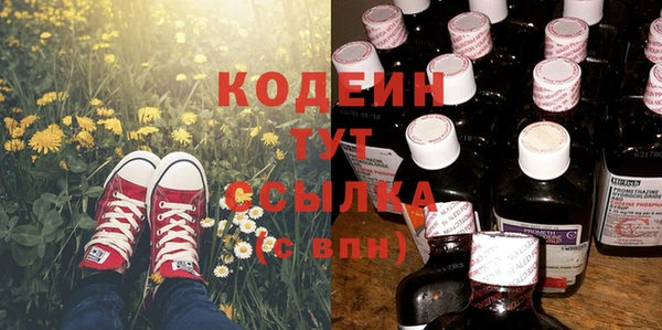 шишки Балахна