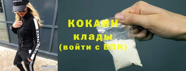 шишки Балахна