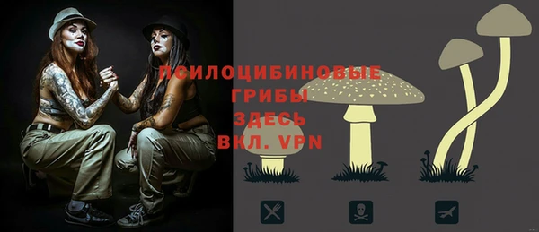 индика Баксан