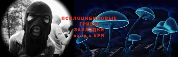 шишки Балахна