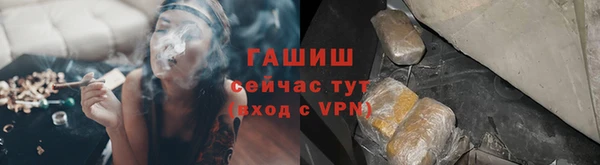 индика Баксан