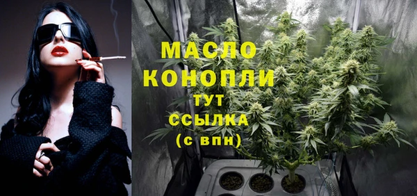 индика Баксан