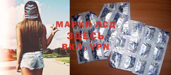 индика Баксан