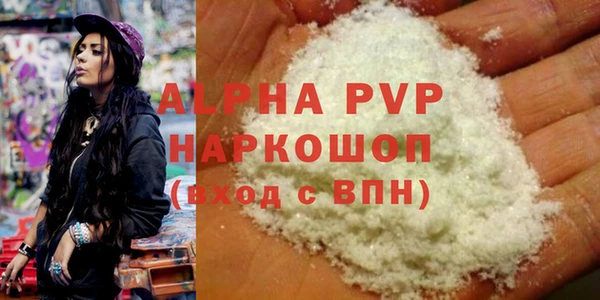 индика Баксан