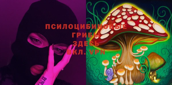 шишки Балахна