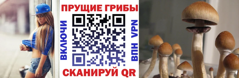 купить цена Борзя Галлюциногенные грибы мухоморы